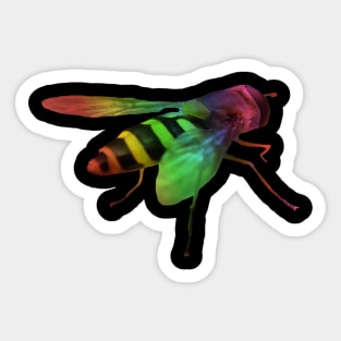 colorful wasp, rainbow, insect, bee Sticker